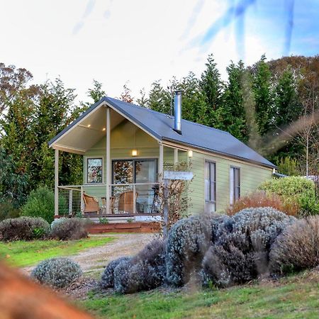 格雷斯小屋酒店 Uralla 外观 照片
